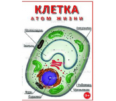 Диск "Клетка - "атом жизни" 